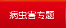 溦ר